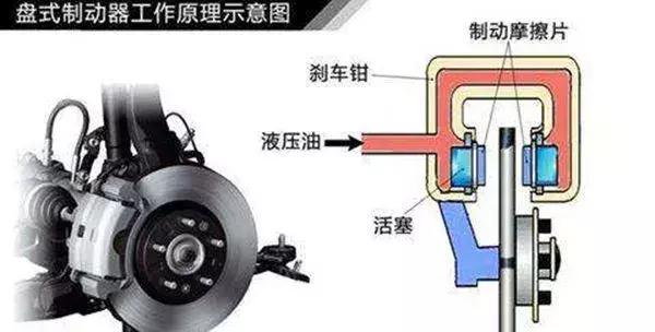 鸭脖官网登录